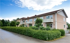 Image missing alt text